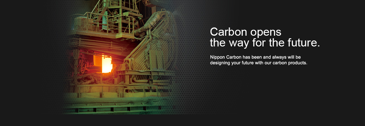 Nippon Carbon Co., Ltd.